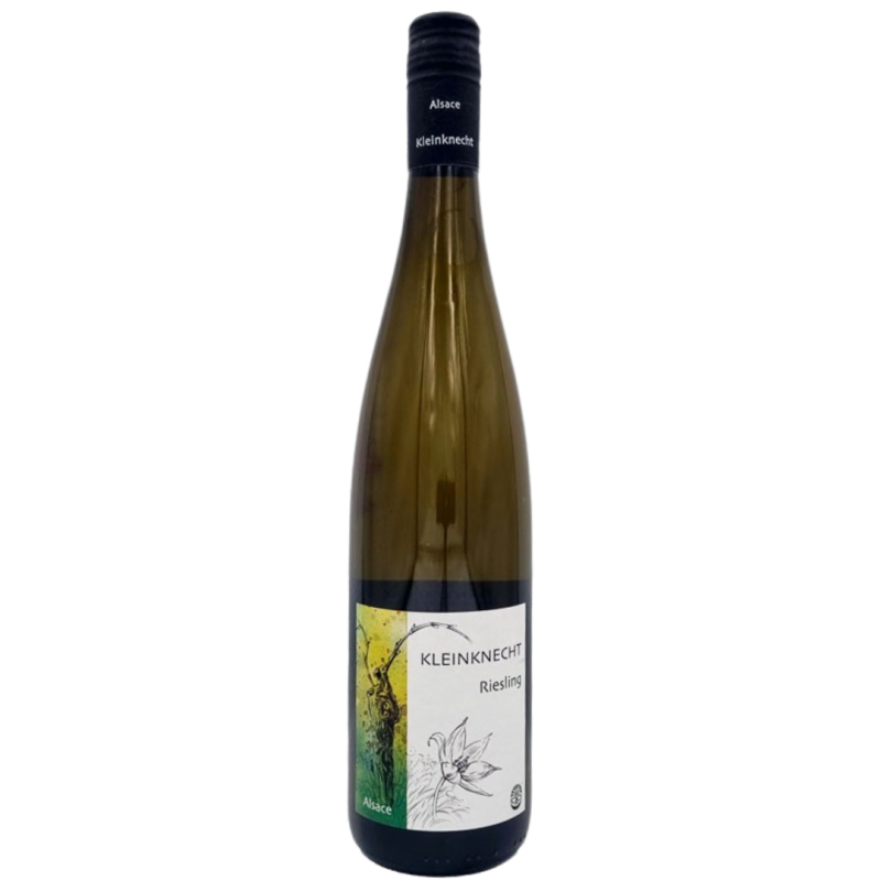 Riesling 2020, André Kleinknecht